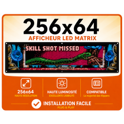 Pin2dmd HD 256x64